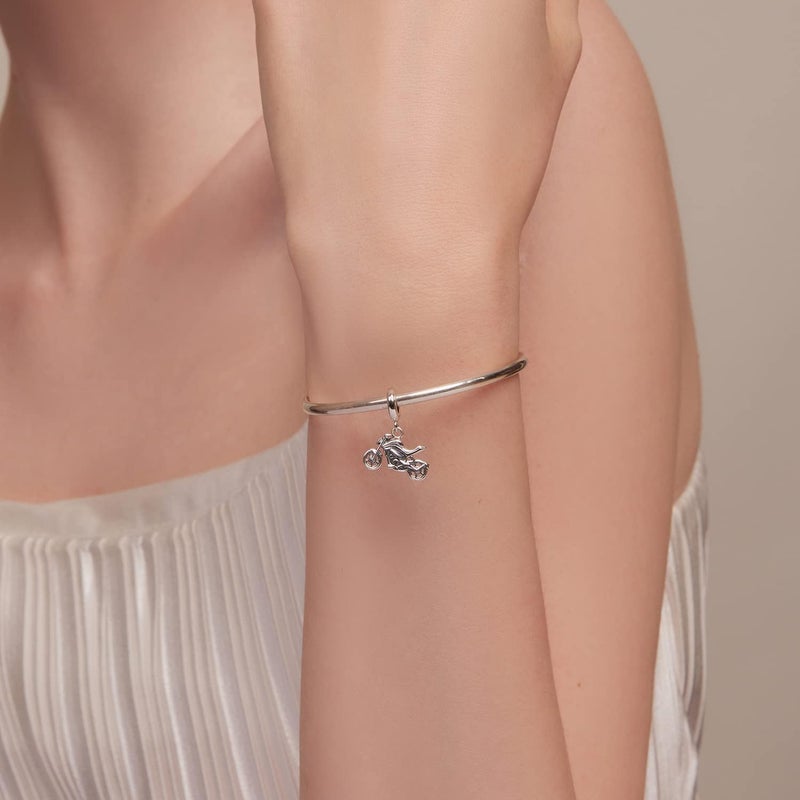BABAMIA Store Rose Charm Heart Charms for Bracelets 925 Sterling Silver Bead Charm Fits Bracelets and Necklaces Paved with Cubic Zirconia Animal Skull Charm Dainty Halloween Charms Jewelry for Women Girls - Image 1